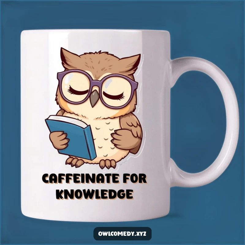Funny Sleepy Owl Mug: Cozy Reader Gift for Bookworms & Night Owls