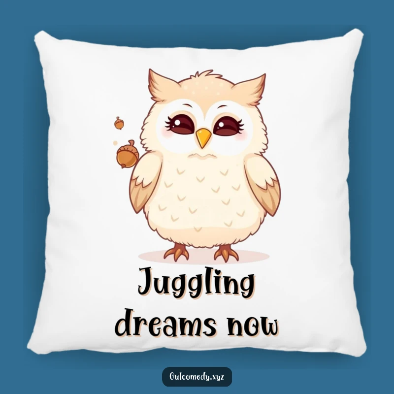 Funny Owl Juggling Pillow: Cozy Comfort with a Winking Funny Gift!