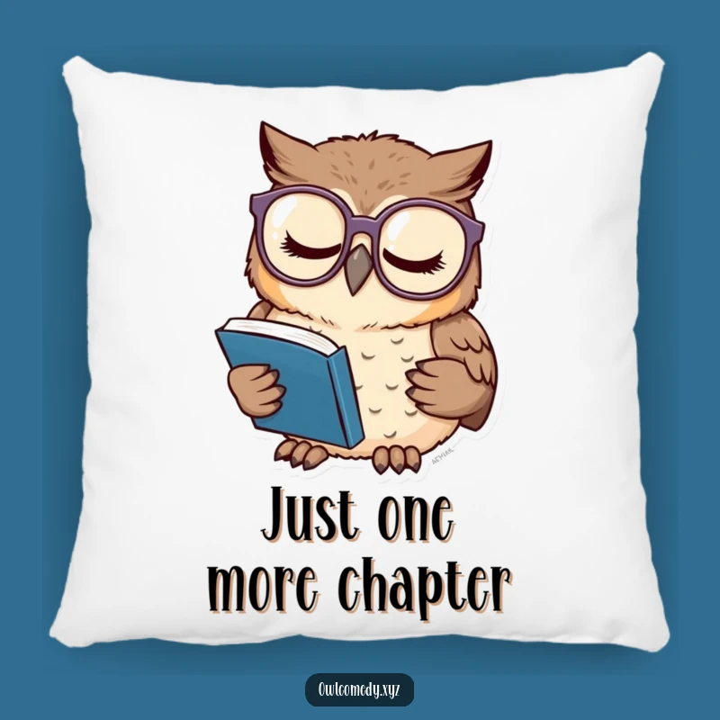 Funny Sleepy Owl Pillow: Soft & Comical Reader Accent