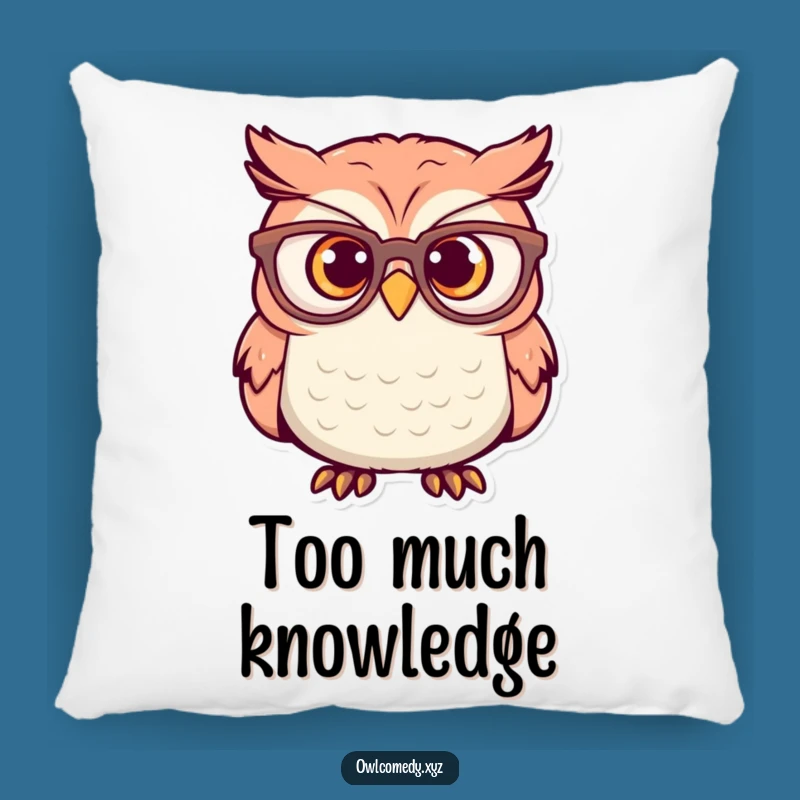 Funny Surprised Owl Pillow: Cozy Shock - Huggable & Hilarious Gift